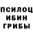 Псилоцибиновые грибы Psilocybe Gowtham Gts
