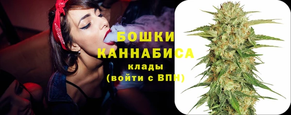 винт Гусь-Хрустальный