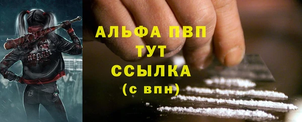 spice Гусев