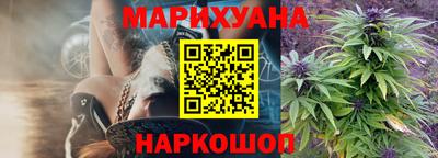 jwh Гатчина