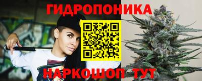 jwh Гатчина