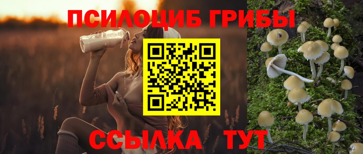 Галлюциногенные грибы MAGIC MUSHROOMS  Вход с VPN  Ленинск-Кузнецкий 